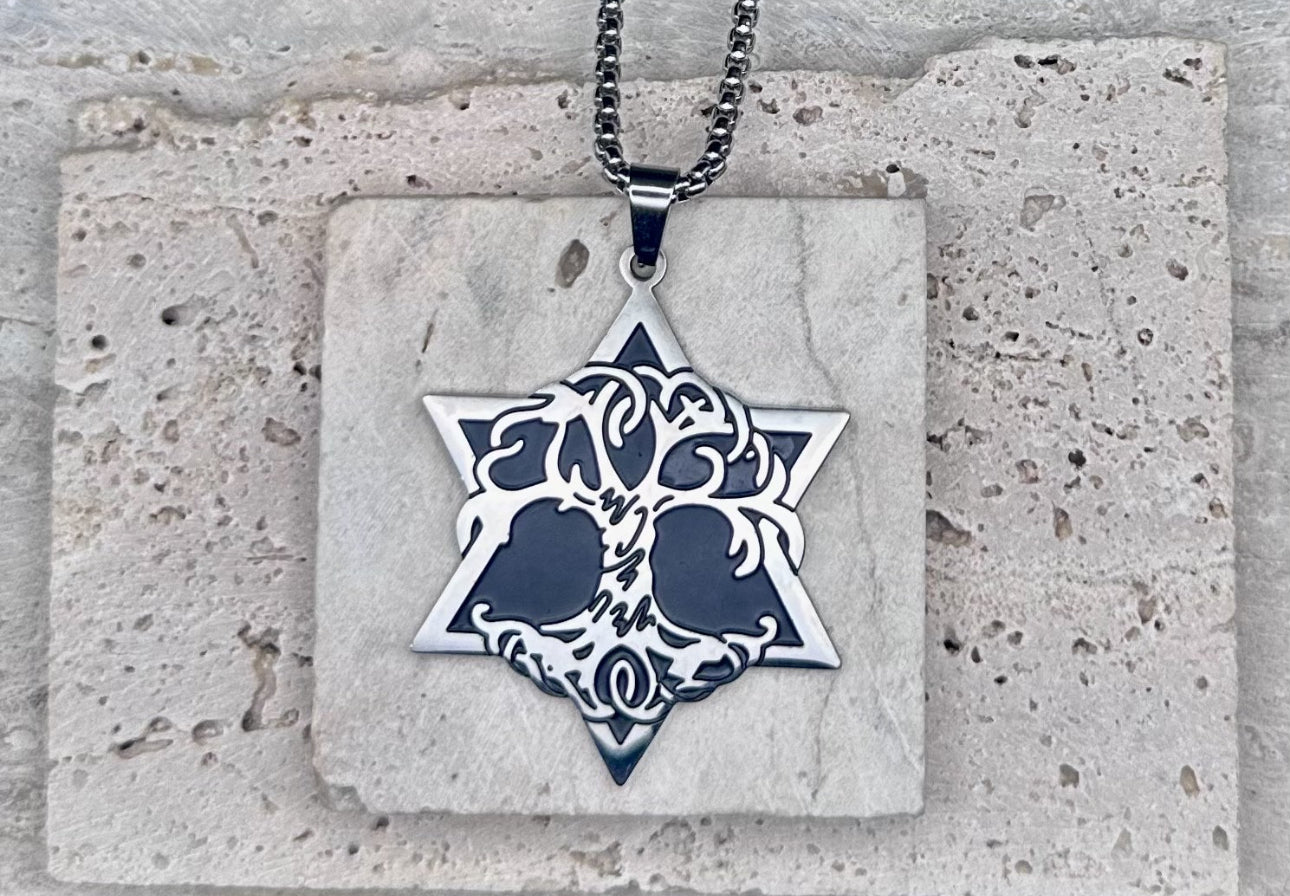 Men and Women Magen David Star of David Necklace Unisex - Silver