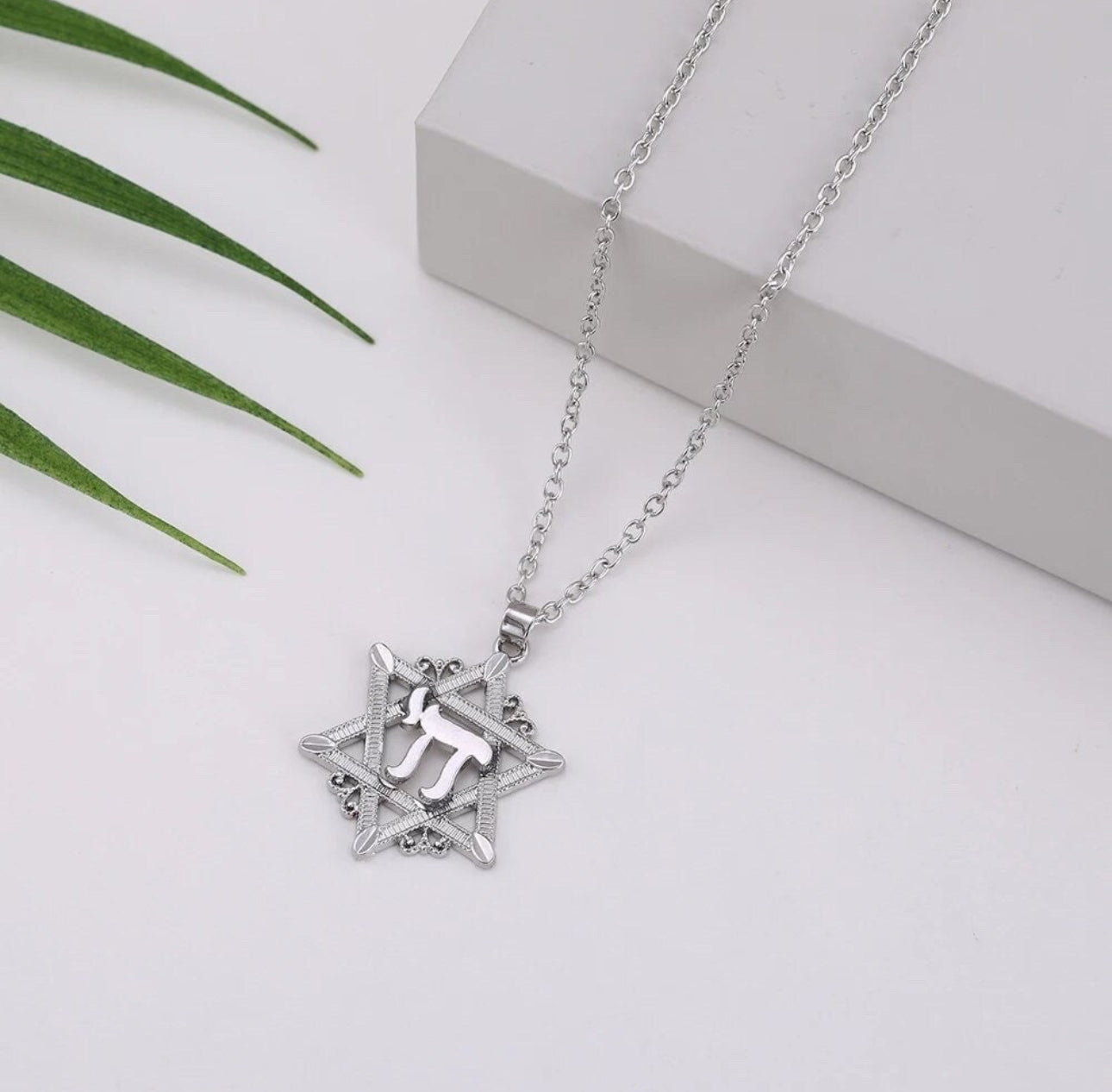 Hai Chai Star of David Magen David Necklace Silver